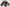 Everything You Need To Know About VENOM E-Grizzly Electric ATV
