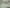 1600w Pro Electric Dirt Bike 48v | Style #2 Decal Kit (Green) (307600010)