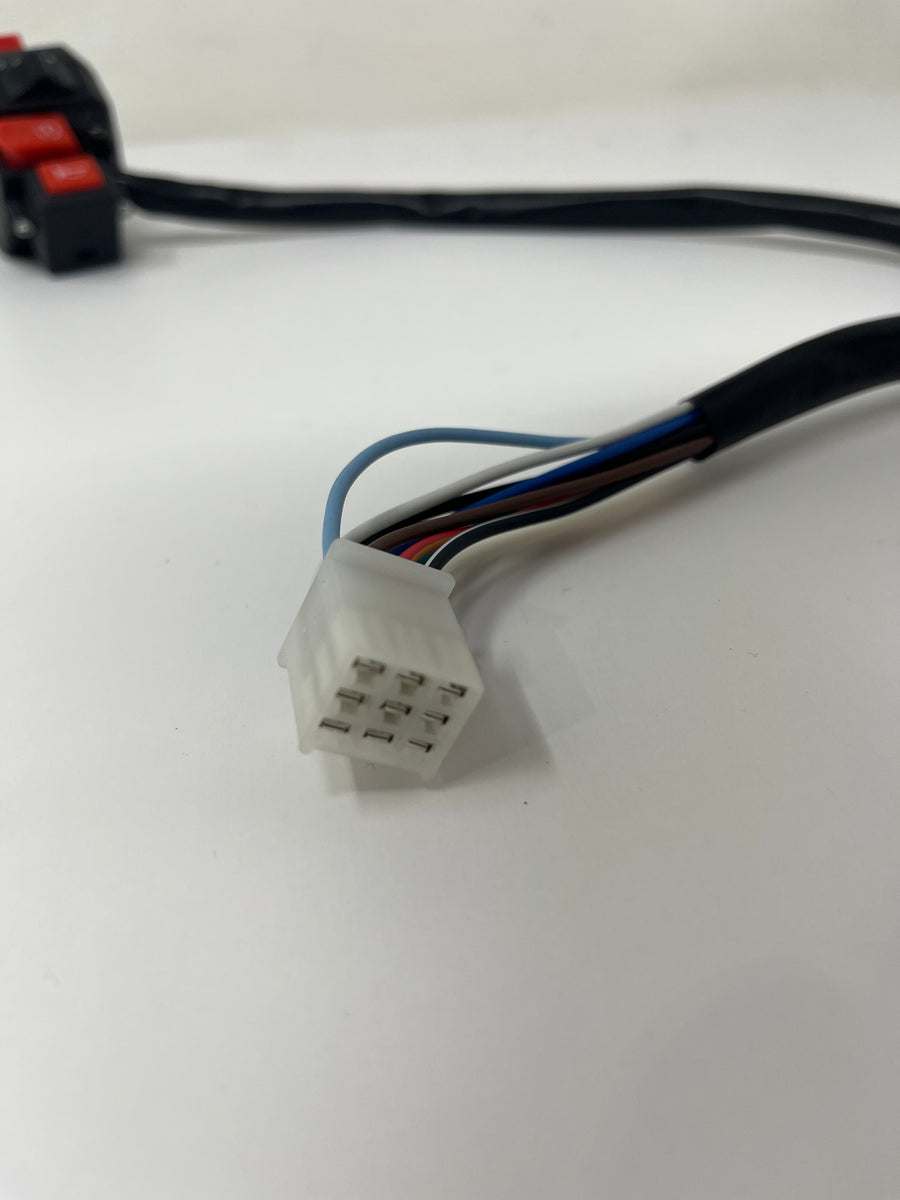 Grizzly 125cc ATV | Start Switch (12501A-161101A)