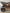 Venom Mini Madix | 110cc ATV | Automatic Transmission + Reverse