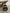 Venom Mini Madix | 110cc ATV | Automatic Transmission + Reverse