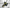 Lifan KP-Mini RS | 150cc EFI Motorcycle | Fuel Injected | Street Legal Yellow