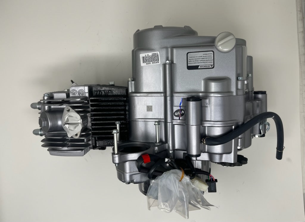 Mini Jeep 125cc | Engine (12501J-010100A)