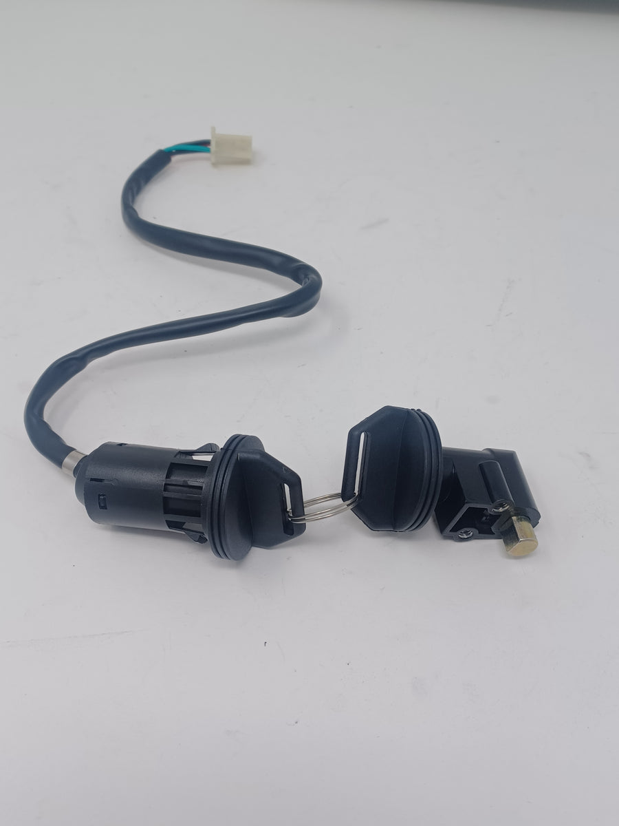 Venom Mad Max 250cc - Ignition 2801-16070100A