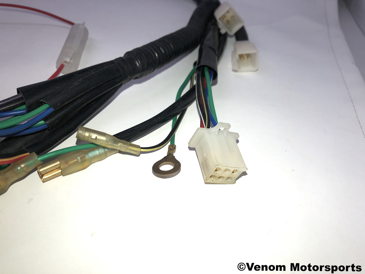Replacement Wiring Harness | Venom 50cc Fatboy 202050010