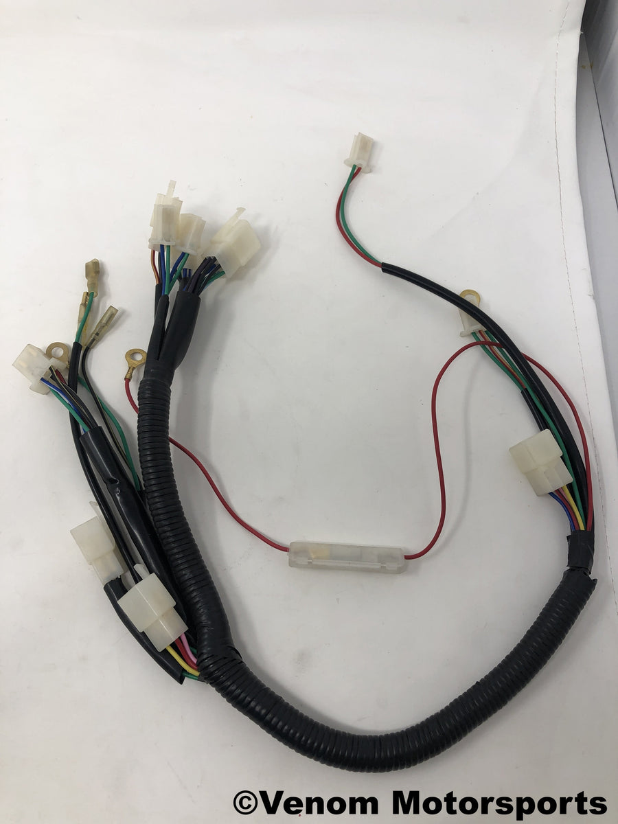 Replacement Wiring Harness | Venom 50cc Fatboy 202050010