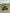 Kids Quads for Sale - venom motors canada
