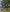 electric dirt bike for sale-venom motorsports canada