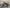 gas dirt bikes 125cc-venom motorssports canada