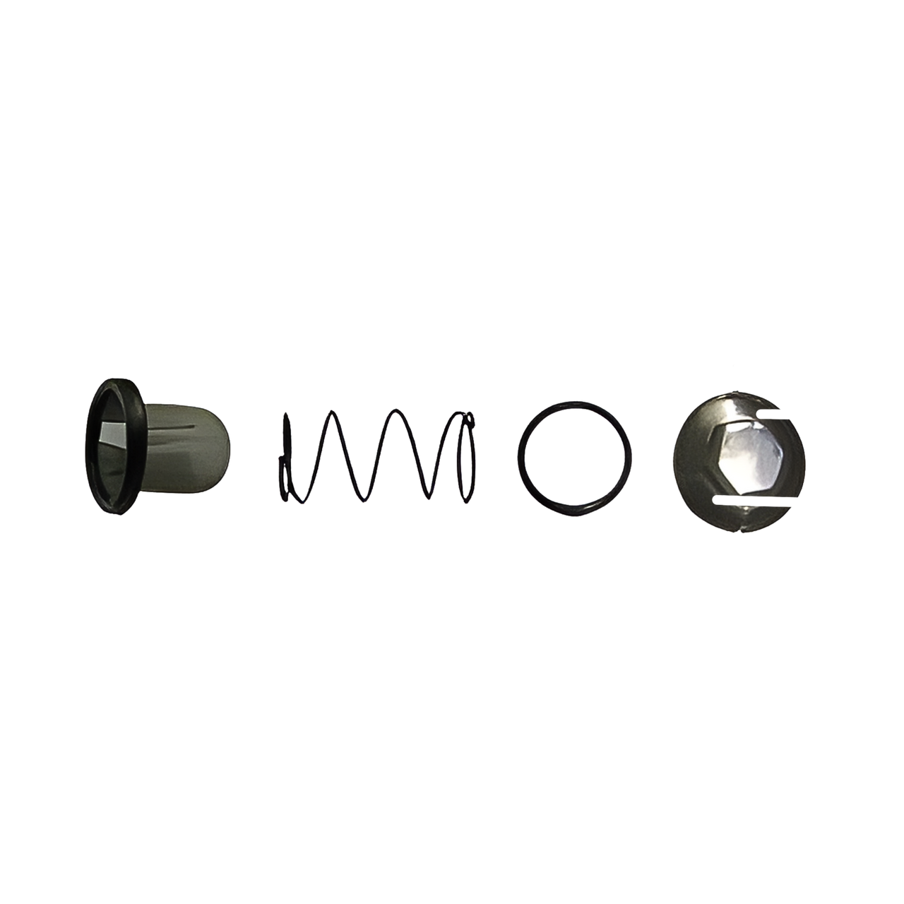 Lifan KPM 200 Motorcycle | Spring And Gauze Filter Set (165MLSE04-17)