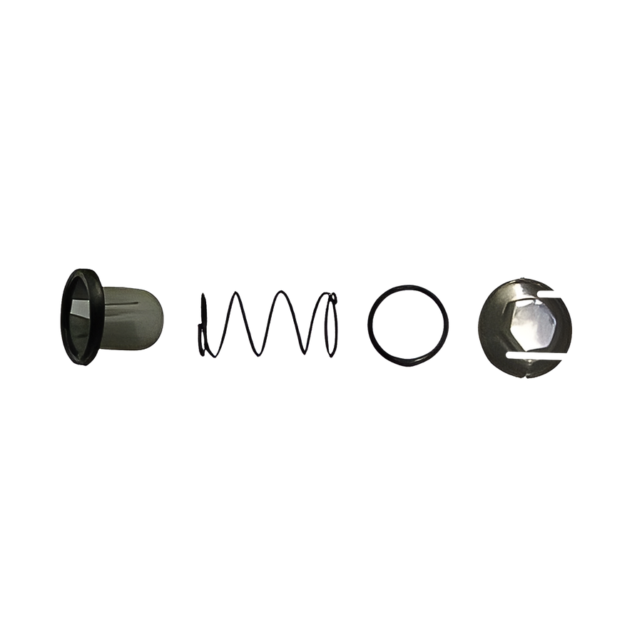 Lifan KPM 200 Motorcycle | Spring And Gauze Filter Set (165MLSE04-17)