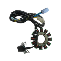 Thumbnail for Lifan KPM 200 Motorcycle | Stator Magneto (165MLSE06-01)
