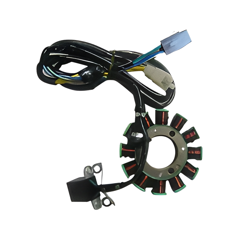 Lifan KPM 200 Motorcycle | Stator Magneto (165MLSE06-01)