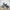 Venom 1600W Electric Dirt Bike – 48V Lithium Off-Road