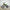 Venom 1600W Electric Dirt Bike – 48V Lithium Off-Road