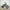 Venom 1600W Electric Dirt Bike – 48V Lithium Off-Road