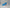 1600w Pro Electric Dirt Bike 48v | Seat (307680019) Blue