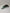 1600w Pro Electric Dirt Bike 48v | Front Fender (307510002)