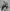 Venom MX60 | 60cc Dirt Bike | Automatic Transmission