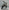 Venom MX60 | 60cc Dirt Bike | Automatic Transmission