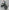 Venom MX60 | 60cc Dirt Bike | Automatic Transmission