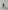 1000w Quad Racer 36V ATV | Front Shock (304150002)