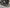 1500w E-Grizzly 48V ATV | Body Kit