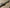 Mini Jeep 125cc | Rear Axle (12501J-120300A)