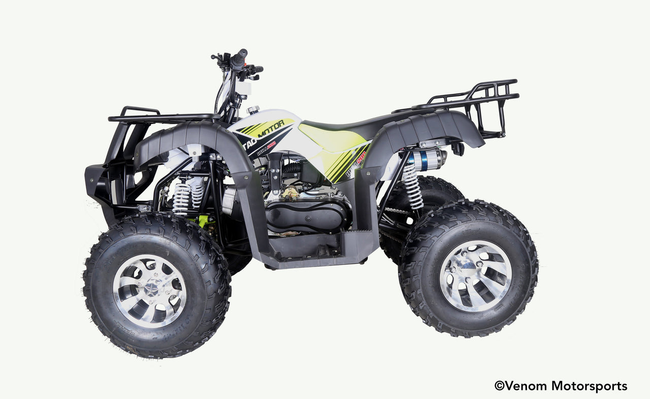 200cc Kodiak ATV | Fully Automatic + Reverse | Full Size ATV