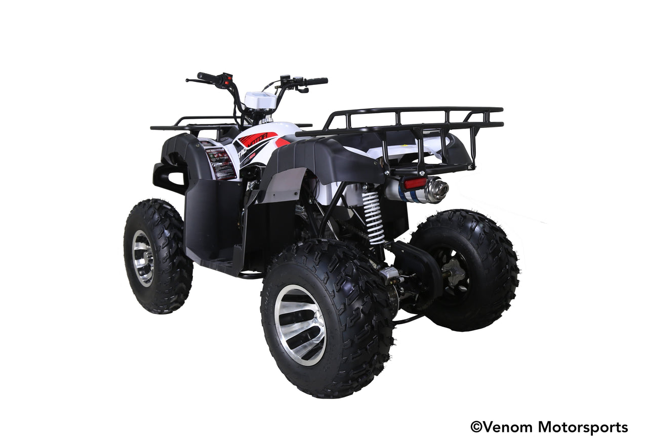 200cc Kodiak ATV | Fully Automatic + Reverse | Full Size ATV