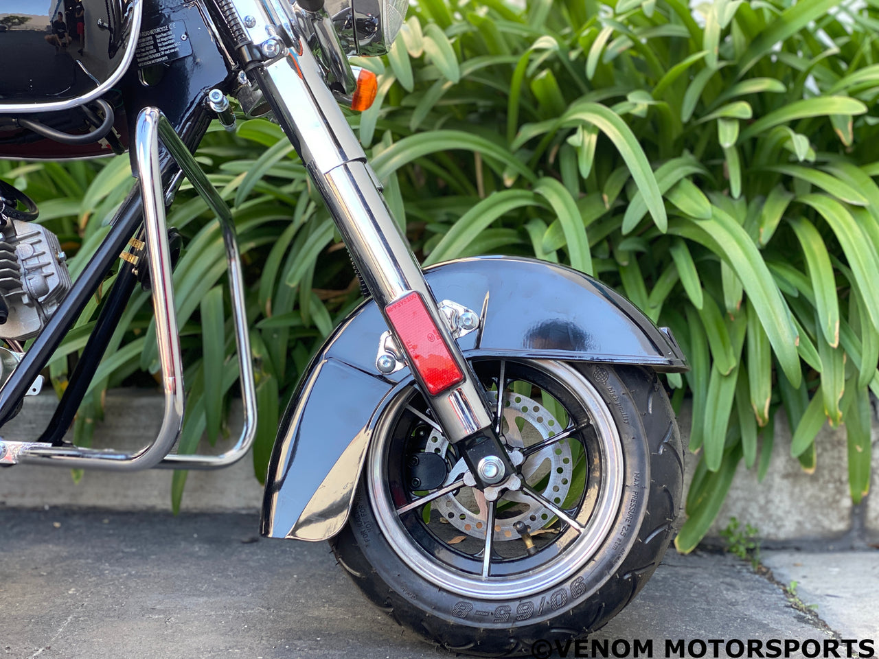 Venom FatBoy | 50cc Mini Chopper | Automatic Transmission