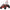 Venom Mud Monster Kids Go Kart | 98cc | Gas Powered | Dune Buggy Red